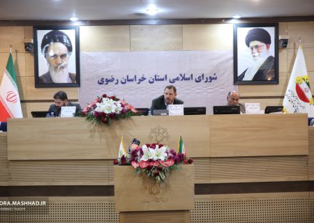 با افزایش کمیسیون های تخصصی شورای اسلامی استان به 10 کمیسیون، اقدامات این شورا  تخصصی تر خواهد شد
